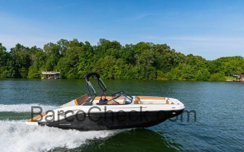 Bayliner DX 2050 ficha tecnica